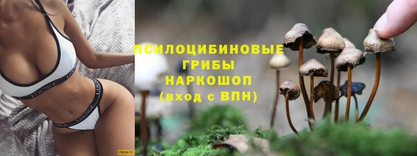соль ск Наволоки